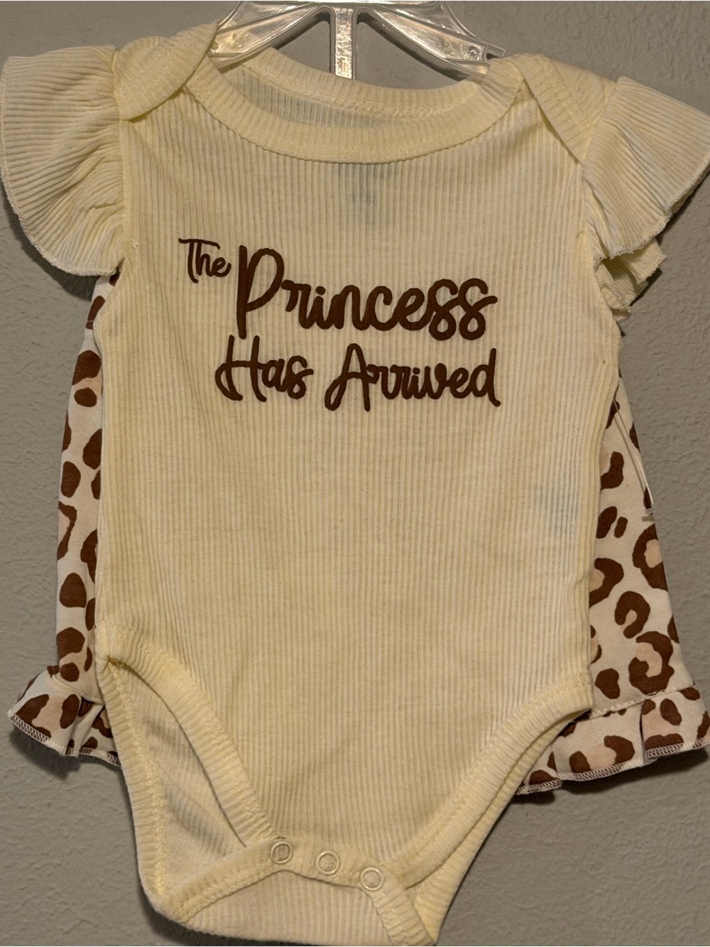 Baby One-Piece Bodysuit - 'The Princess Has Arrived' in Cream